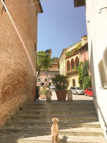 Apartamento Monolocale In Villa, A 300 Metri Dal Centro