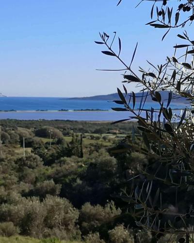Hostal Coro E Bentu Rooms & View