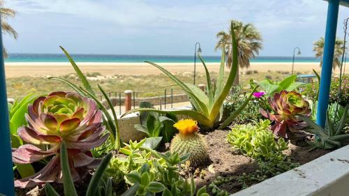 Apartamento Tarifa Cozy House - Beachfront, Stylish Deco