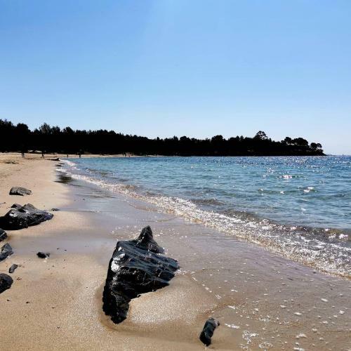Apartamento Duplex Hy�res Port