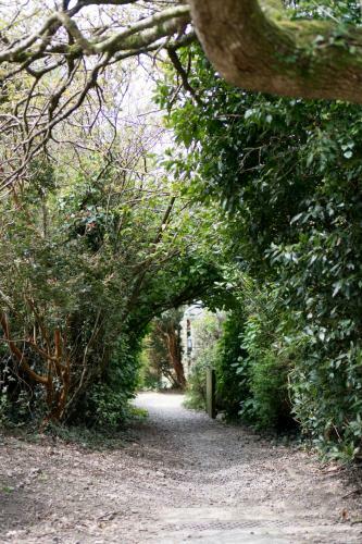 2 Bedroom Cottage To Explore Cornwall