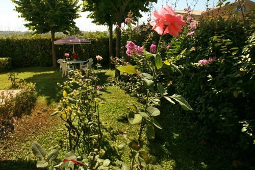 B&B Il Parco Dei Pini