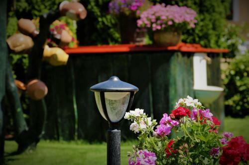 Hostal Hal�sz Airport Panzio