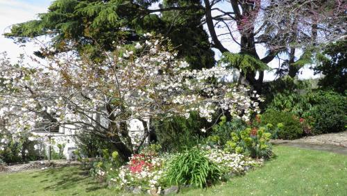 Bed & Breakfast Tamar River Retreat
