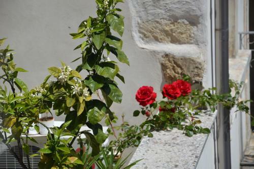 Bed & Breakfast Pantalica Rooms Affittacamere