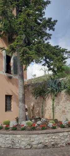Agroturismo Villino Bellavista