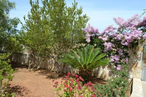 Apartamento Villa Lido Pizzo - Cod 200