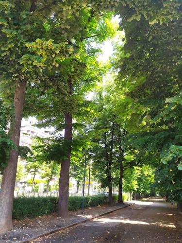 Apartamento Bilocale Parco Del Valentino