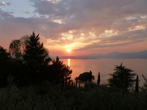 Villa Nell'uliveto