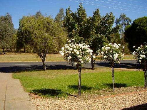 Hendersons Houses