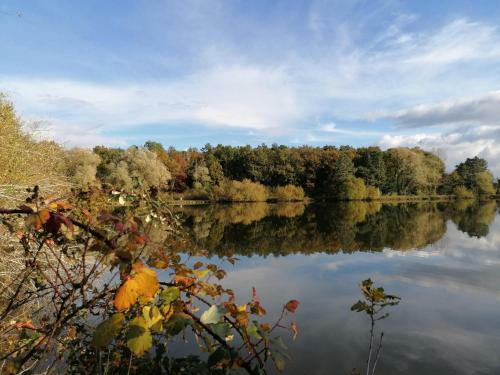 L'auberge 14/25 Pers 30min Beauval Chambord