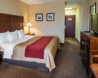 Hotel Comfort Inn & Suites