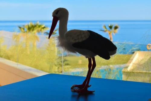 Pool Sea View Apartment Calaceite
