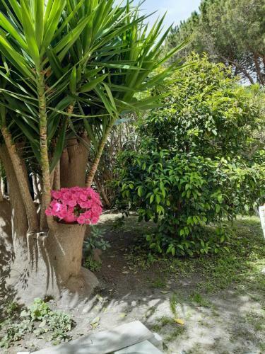 Apartamento Le Mordhuy