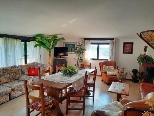 Apartamento Casa Pura Vida