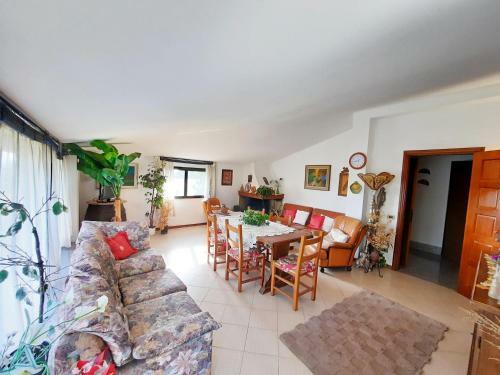 Apartamento Casa Pura Vida