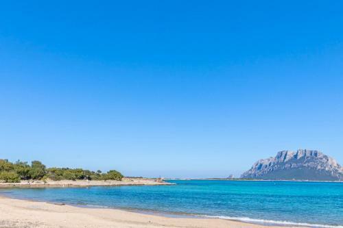 Apartamento Bilo Danilo Few Minutes From Sea