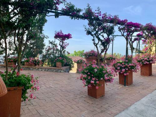 Casa Stromboli