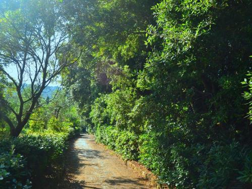 Holiday Home Il Pescatore Castiglioncello