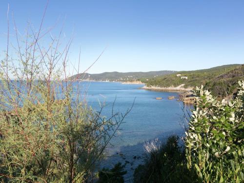 Holiday Home Il Pescatore Castiglioncello