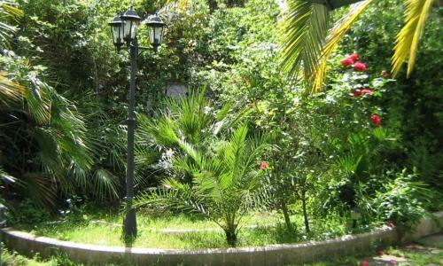 B&B Il Giardino Di Villa Anna