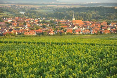 Apartamento Ferienwohnung Tonart