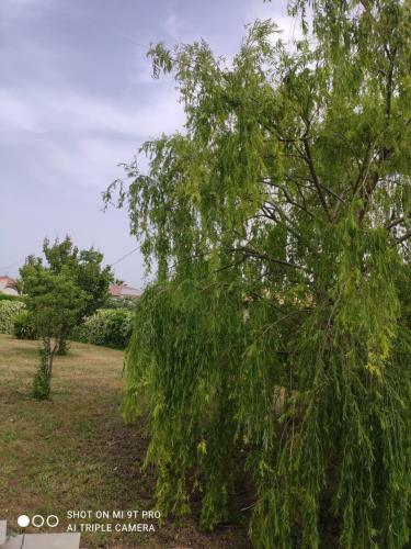 Apartamento Country House Prima Casa