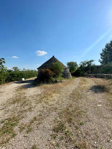 Trullo Della Murgia B&B