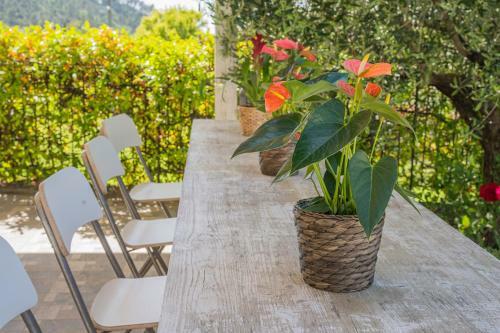 Apartamento Timo - Villa Luisa: Con Vasca Idromassaggio Privata