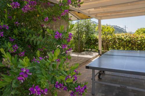Apartamento Timo - Villa Luisa: Con Vasca Idromassaggio Privata