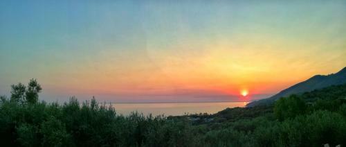 Bed & Breakfast Dimora Degli Ulivi