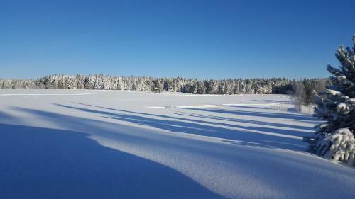 Ferienhaus Starenweg 8
