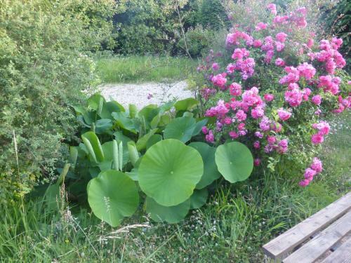 Charmante Maison Avec Piscine