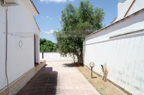 Villa Antonella Con Giardino
