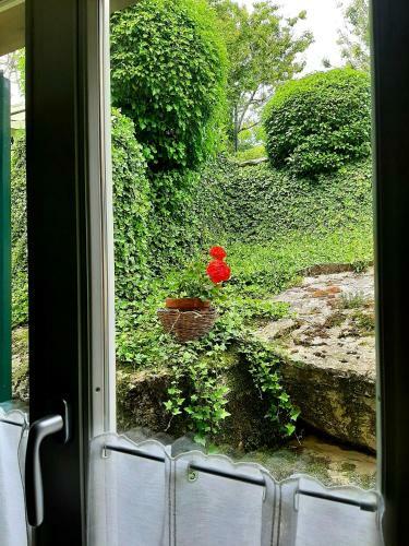 B&B Degli Allori