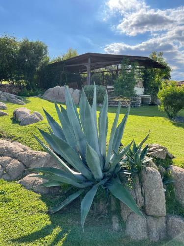 Villa Miramar