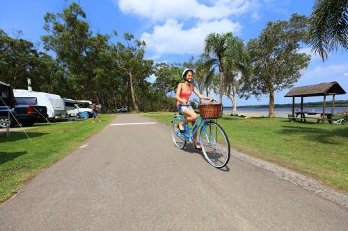 Big4 Koala Shores Holiday Park
