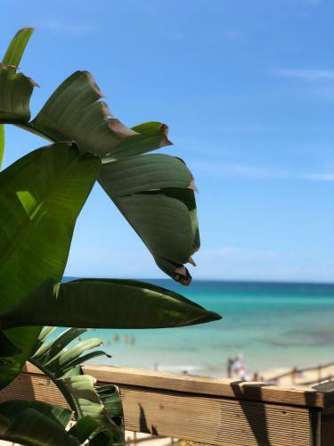 Apartamento La Torretta 2