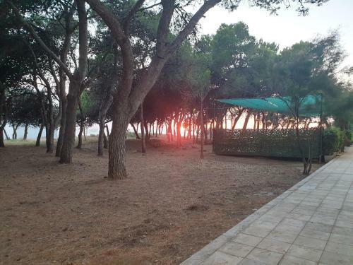 Apartamento Fronte Pineta Mare Rivabella