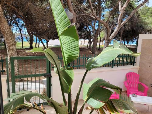 Apartamento Fronte Pineta Mare Rivabella