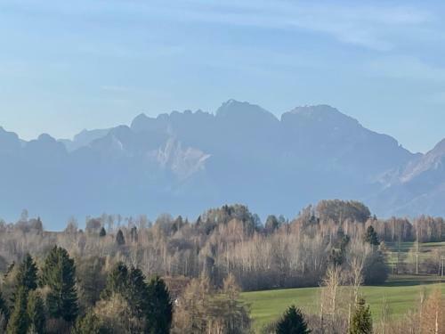 B&B Formigh�r