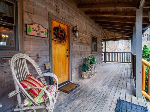 Cedar Forest-theater, Game Room, Hottub
