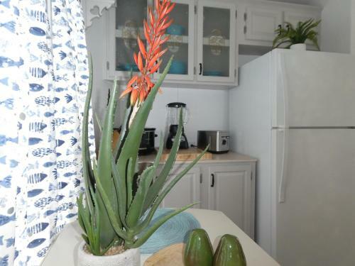 Liv Resort: Clam Circle With Private Jacuzzi (Pet Friendly)