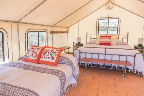 Basecamp 37�