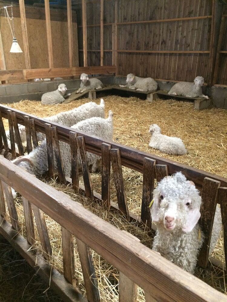 Bed & Breakfast La Ferme De La Maugerie