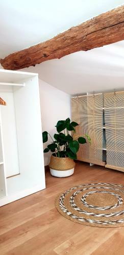 Apartamento Studio M�diterran�enne