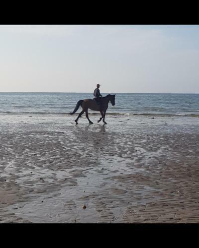 Agroturismo Les G�tes De Ninon