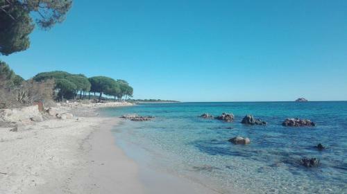 Apartamento Vardiola/porto Vecchio
