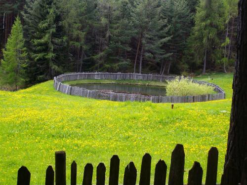 Agroturismo Schartnerhof
