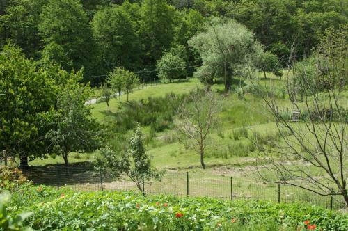 Hostal Affittacamere Graziella